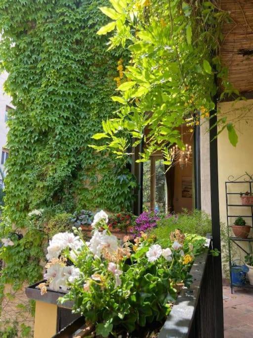 Apartment The Garden Catania